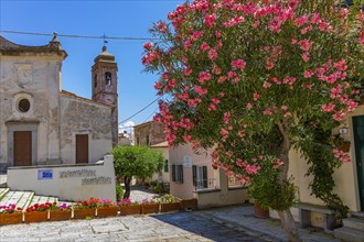 Paved church square with flowering bushes, in the background the church of Sant'ilario in Campo,