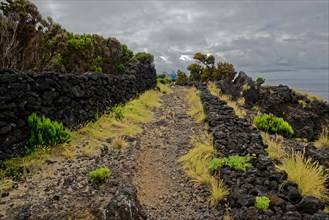 Trail through barren volcanic rock with scattered green plants under a cloudy sky, north coast,