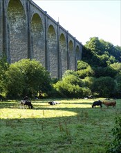 Daoulas viaduct over the Mignonne valley on the railway line between Savenay and Landerneau, height