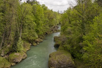 Erlauf, Erlauf Gorge, Purgstall an der Erlauf, Lower Austria