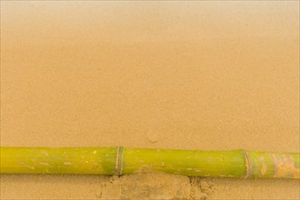Solitary bamboo pole laying on windswept beach with streaks of sand being blown across the ground