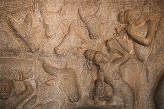 Bas-relief, detail, UNESCO World Heritage Site, Mahabalipuram or Mamallapuram, Tamil Nadu, India,