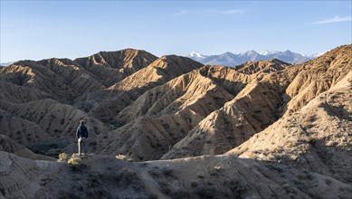 Hiker walks between canyons, behind mountains of the Tian Shan, eroded hilly landscape, badlands,