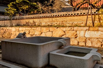 Concrete water cistern with turtle fountain at Buddhist temple