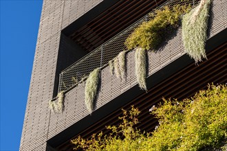 Facade of a modern building with balconies and plants in the Poblenou district in Barcelona in
