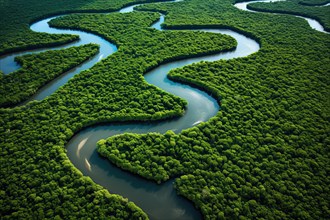 Aerial view of a meandering river in a tropical rainforest, Brazil, AI Generated, AI generated,