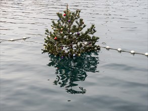 Christmas tree in the harbour basin, harbour of Mali Losinj, island of Losinj, Kvarner Gulf Bay,