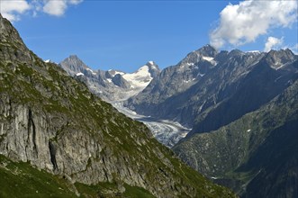 Narrow mountain valley with Fiescher Glacier and Finsteraarhorn, Bernese Alps, Valais, Switzerland,