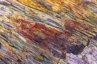 Coloured, ferrous mineral rocks on the beach of Topinetti, near Rio Marina, Elba, Tuscan