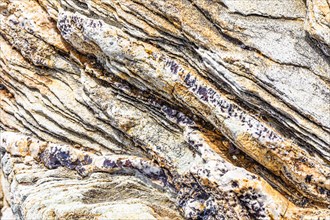 Coloured, ferruginous mineral sandstone on Topinetti beach, near Rio Marina, Elba, Tuscan