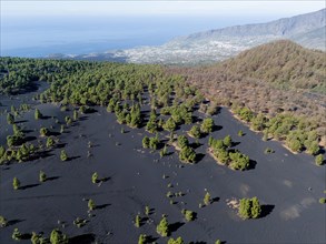 Aerial view of the lava sand areas Montana de Enrique and Quemada, Tacande de Arriba, Los Llanos,