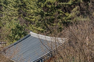 Roof of an oriental building surrounded by trees in local woodland park in South Korea
