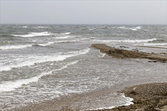 Stormy weather, waves in the Gulf of Saint Lawrence, Gaspesie, Province of Quebec, Canada, North