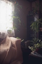 A cozy corner with an armchair and blanket surrounded by lush indoor plants