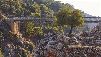 Iron bridge spans a rocky valley with lush vegetation, Aradena Gorge, Aradena, Sfakia, Crete,