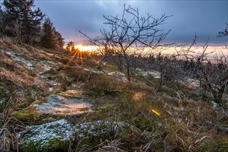 Landscape on the Grosser Feldberg, Taunus volcanic region. A cloudy, sunny winter day, meadows,