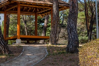 Wooden picnic shelter nestled among evergreen trees in public park