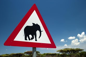 Warning of elephants, traffic sign, traffic, elephant, warning sign, conservation, wilderness,