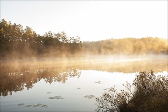 Tivedens National Park, Lake Metesjoen with sunrise in the fog