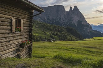 Alpine hut on the Alpe di Siusi, behind the peak of the Sciliar, Val Gardena, Dolomites, South