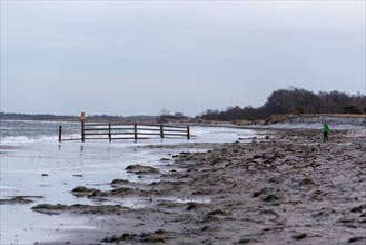 Person in winter clothing walking along a wooden barrier on a cloudy beach, Vorpommersche