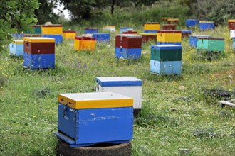 Beehives, near Rethymno, Crete, Greece, Europe