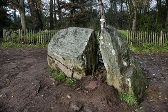 Merlin's menhir, tombeau de Merlin, Broceliande at Paimpont, Brittany, France, Europe