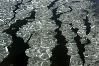 Pancake ice floating on river due to severe cold in winter, Belgium, Europe