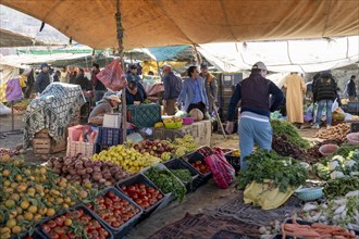 Trading at the vegetable market, Ourika, Morocco, Africa