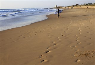 Surfer with board walking on El Palmar beach, Vejer de la Frontera, Cadiz Province, Spain, Europe