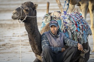 Portrait, man sitting in front of dromedary, Essaouira beach, Morocco, Africa