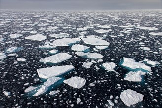 Sea ice, drift ice, ice floes floating in the Arctic Ocean, Nordaustlandet, North East Land,
