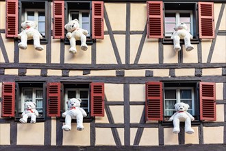 Teddy bears sitting in the window of a half-timbered house, Christmas decoration, Colmar, Alsace,