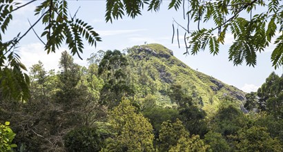 Little Adam's Peak mountain, Ella, Badulla District, Uva Province, Sri Lanka, Asia view of Little