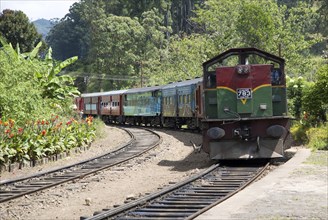 Train arriving at platform railway station Ella, Badulla District, Uva Province, Sri Lanka, Asia