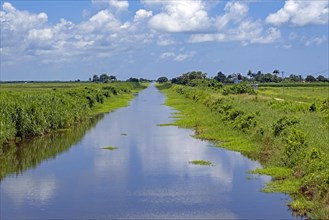 Small canal running through meadows in rural Nieuw Nickerie, Nickerie District, Suriname, Surinam,