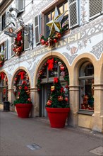 Hansi Museum, historic building decorated for Christmas, Christmas tree, historic town, Colmar,