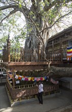 Gangaramaya Buddhist Temple, Colombo, Sri Lanka, Asia