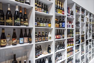 Collection of Belgian beers in the Hop Museum at Poperinge, West Flanders, Belgium, Europe