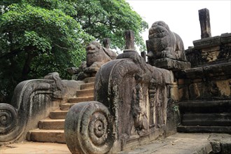 Council Chamber, Citadel, UNESCO World Heritage Site, the ancient city of Polonnaruwa, Sri Lanka,