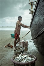 Fisherman by his boat on the beach with the catch of the day during a monsoon shower, Cox's Bazar,