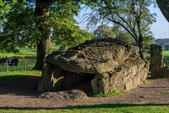 Grand Dolmen de Weris, megalithic gallery grave, chambered tomb near Durbuy in summer, province of