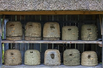 Bee hives, beehives, skeps in rustic shelter of apiary in the Lueneburg Heath, Lunenburg Heath,