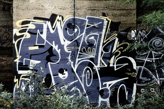 Wall with colourful, abstract graffiti, surrounded by plants, former Rethel railway junction, Lost