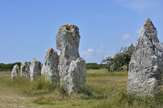 Megalithic standing stones, Alignements de Lagatjar at Crozon, Camaret-sur-Mer, Finistere,