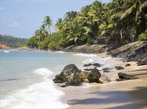Tropical landscape of palm trees and sandy beach, Mirissa, Sri Lanka, Asia