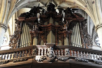 Organ, Heilig-Kreuz-Muenster, start of construction around 1315, Schwaebisch Gmuend,