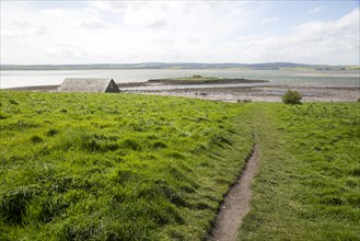 Path over filed to the coast, Holy Island, Lindisfarne, Northumberland, England, UK