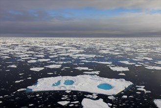 Aerial view over sea ice, drift ice, ice floes with melt ponds containing freshwater in the Arctic