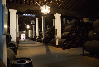 Oak barrels of maturing sherry wine in cellar, Gonzalez Byass bodega, Jerez de la Frontera, Cadiz